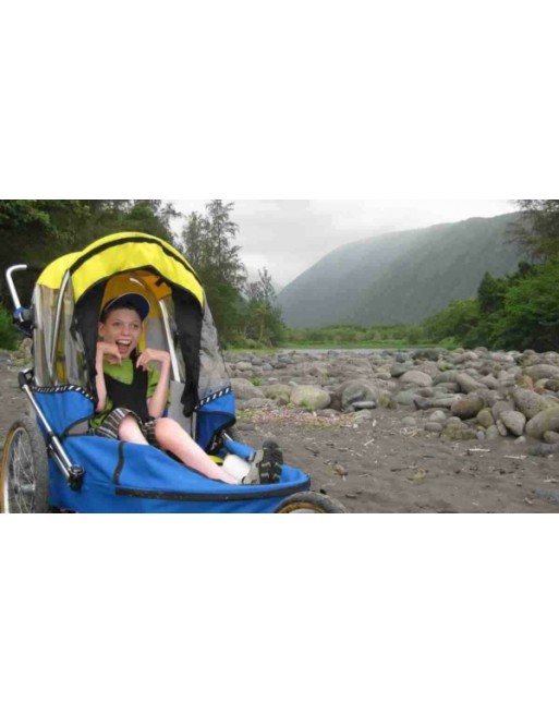 Wike Special Needs Large – Walking & Jogging Trailer for Children Requiring Extra Support