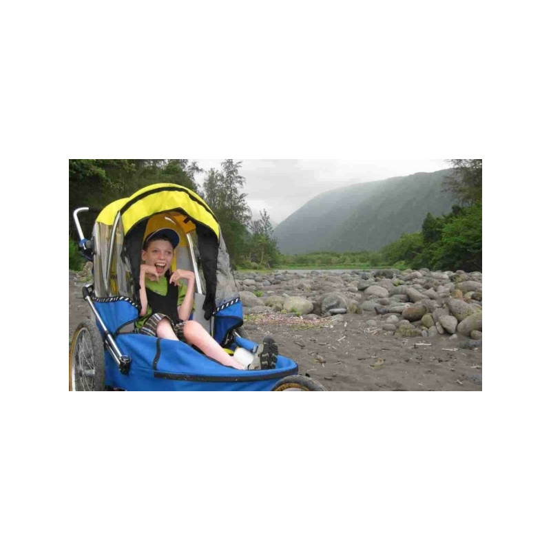 Wike Special Needs Large – Walking & Jogging Trailer for Children Requiring Extra Support