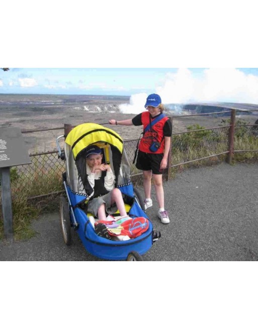 Wike Special Needs Large – Walking & Jogging Trailer for Children Requiring Extra Support