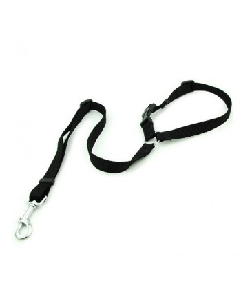 KidsCab Cargo bike and bicycle trailer leash set for dog