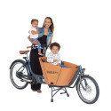 Babboe Mini Mountain cargo bike