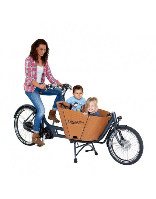 Babboe Mini Mountain cargo bike