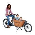 Babboe Mini Mountain cargo bike