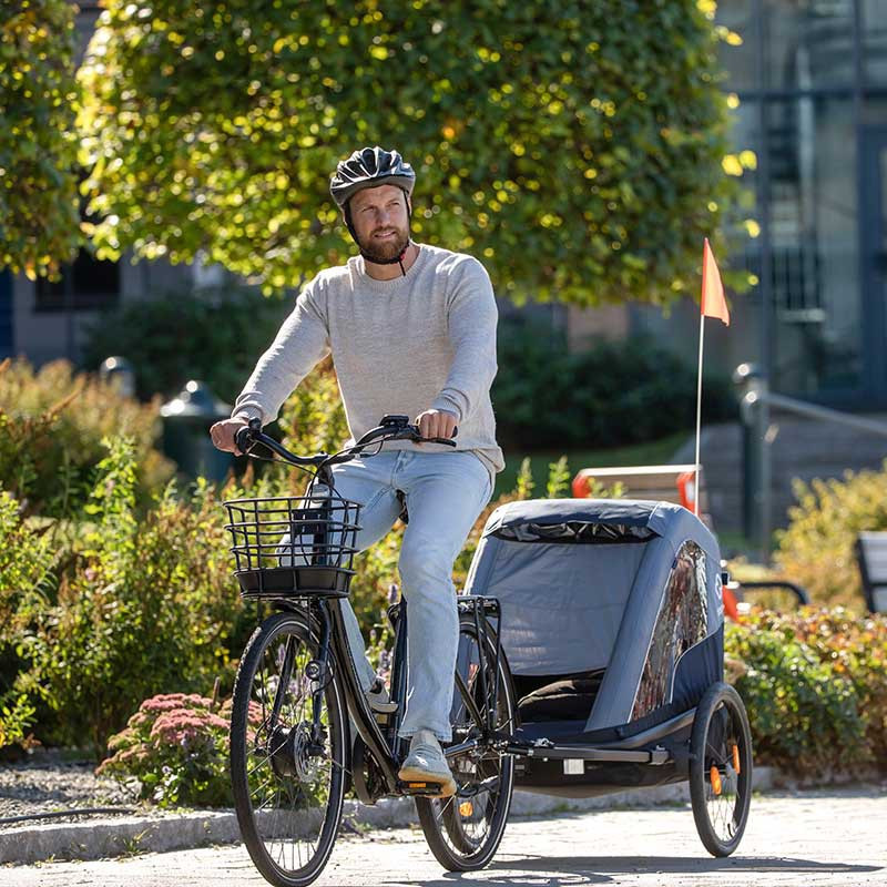Hamax Avenida One Fahrradanhänger