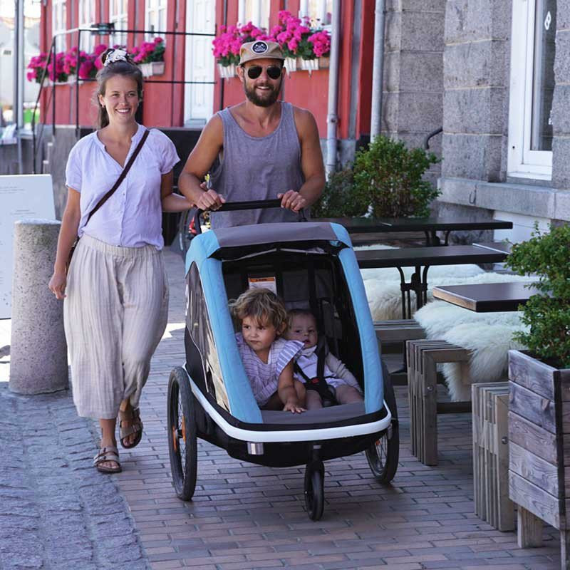 Hamax Avenida One Fahrradanhänger