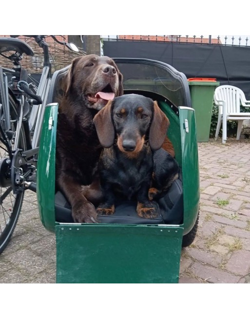 Scandinavian Side Bike for dog sidecar - Green