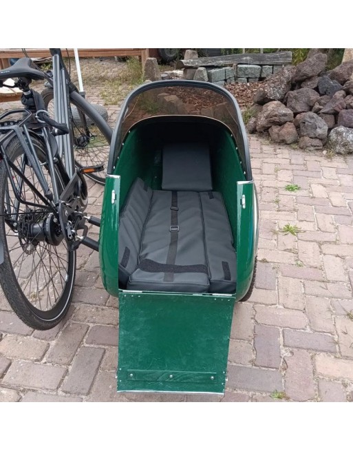 Scandinavian Side Bike for dog sidecar - Green