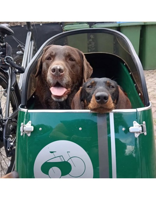 Scandinavian Side Bike for dog sidecar - Green