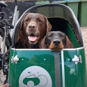 Scandinavian Side Bike for dog sidecar - Green