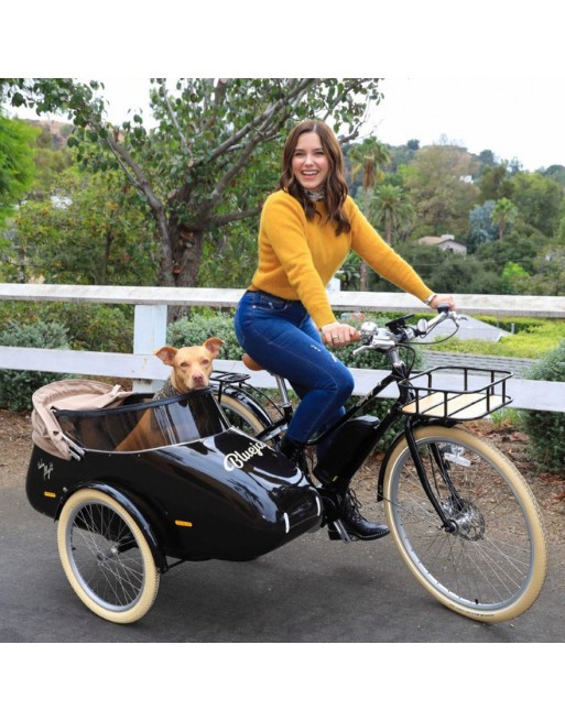 Scandinavian Side Bike for dog sidecar - Green