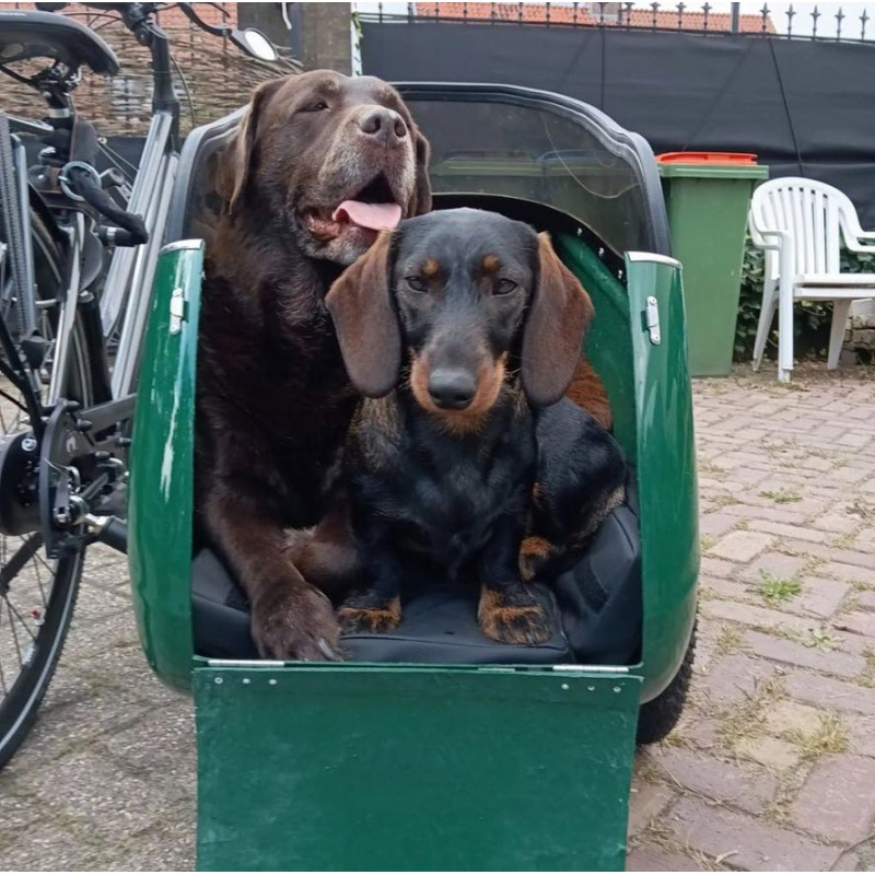 Scandinavian Side Bike for dog sidecar - Red