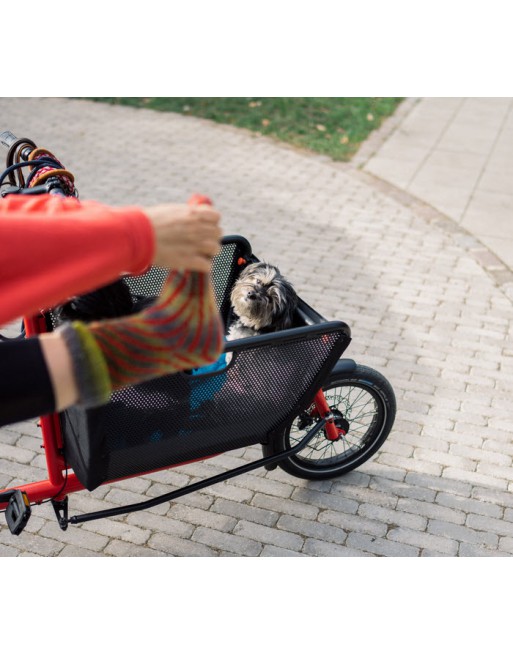 Mini vélo cargo pliant Muli Muskel - Bleu