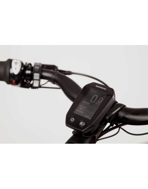 Chike E-Dog Hunde-Lastenfahrrad