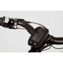 Chike E-Dog Hunde-Lastenfahrrad