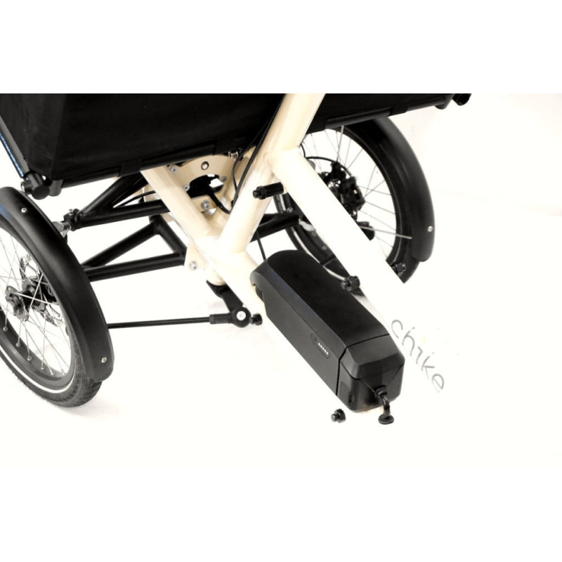 Chike E-Dog Hunde-Lastenfahrrad