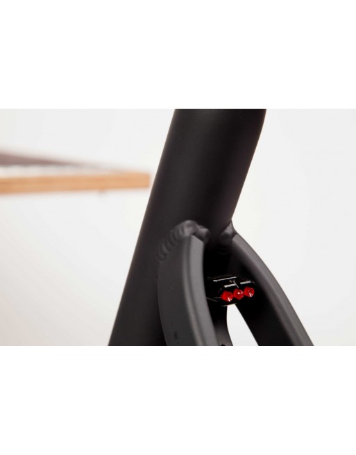 Chike E-Dog Hunde-Lastenfahrrad