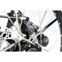 Chike E-Dog Hunde-Lastenfahrrad