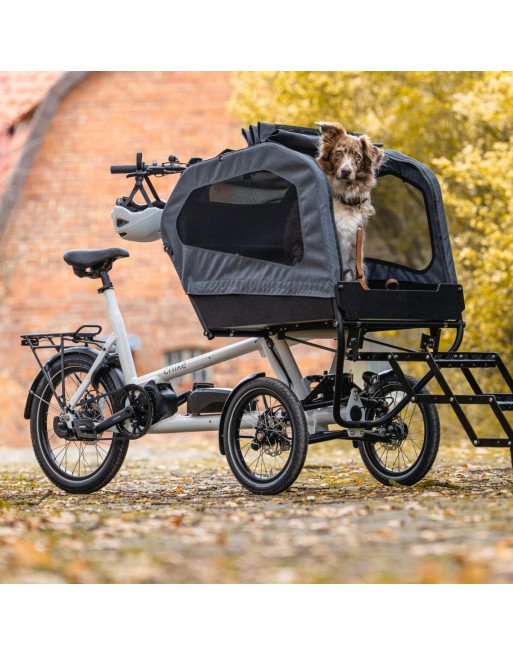 Chike E-Dog Hunde-Lastenfahrrad