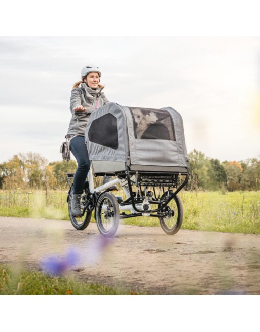 Chike E-Dog Hunde-Lastenfahrrad