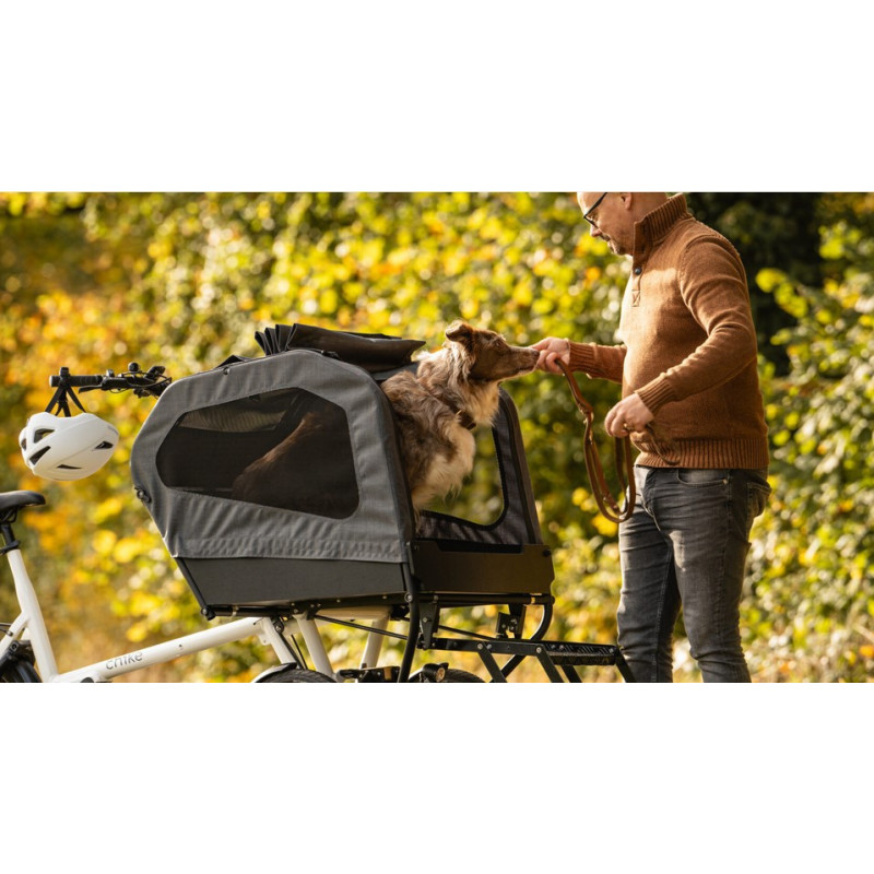 Chike E-Dog Hunde-Lastenfahrrad