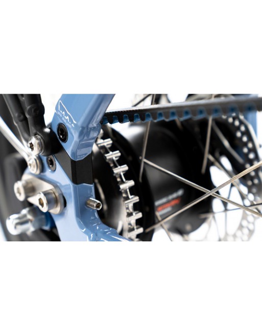 Chike E-Dog Hunde-Lastenfahrrad