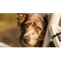 Chike E-Dog Hunde-Lastenfahrrad