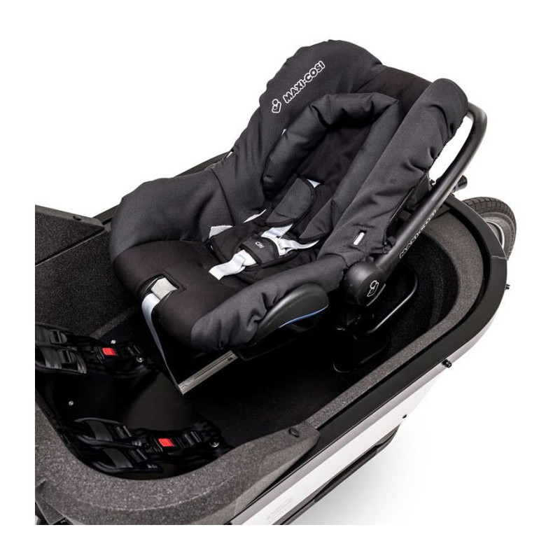 carqon maxi cosi halterung