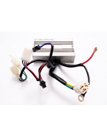 Contrôleur Babboe Protanium 29V GEN1 V-Brake