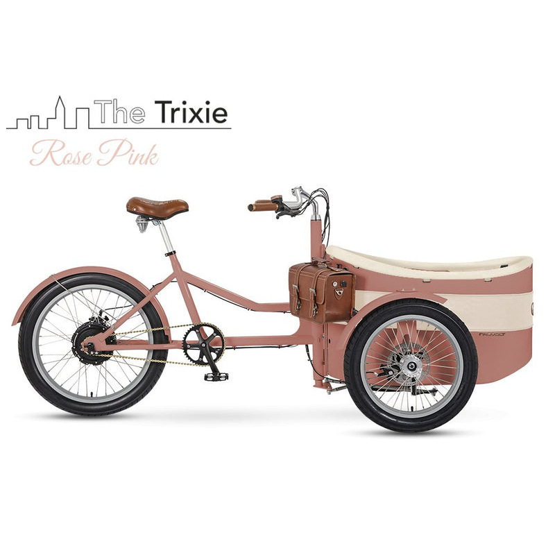 Rayvolt Trixie Lastenfahrrad im Retro-Look