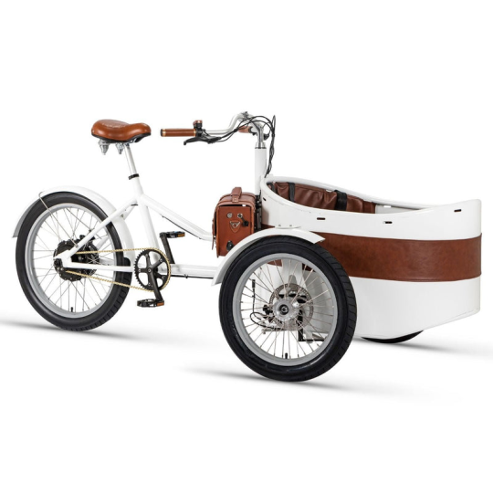 Rayvolt Trixie Lastenfahrrad im Retro-Look