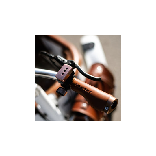 Rayvolt Trixie Lastenfahrrad im Retro-Look