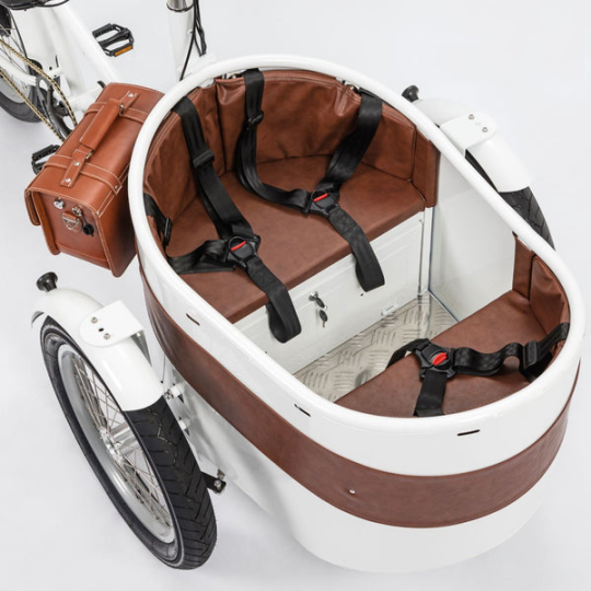 Rayvolt Trixie Retro look cargo bike