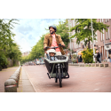 Urban Arrow FamilyNext Advanced – chain drive