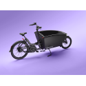 Urban Arrow FamilyNext Advanced – chain drive