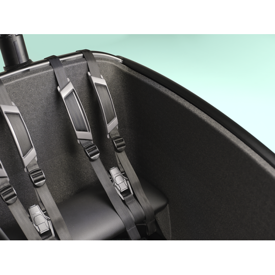 Urban Arrow FamilyNext Advanced – chain drive