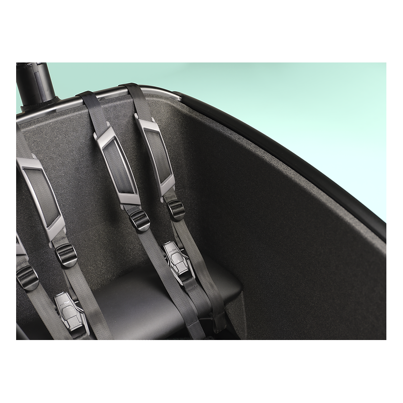 Urban Arrow FamilyNext Advanced – chain drive