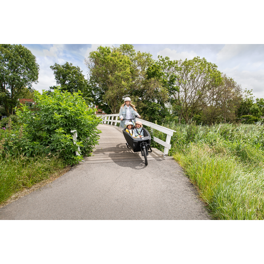 Urban Arrow FamilyNext Advanced – Kettenantrieb (chain drive)