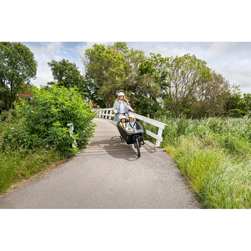 Urban Arrow FamilyNext Advanced – chain drive