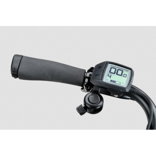 Batavus Fier 3 elektrisches Lastenfahrrad  - Enviolo