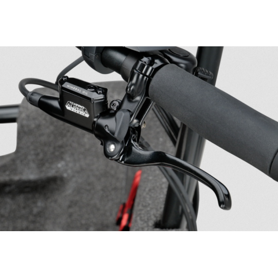 Batavus Fier 3 elektrisches Lastenfahrrad  - Nexus