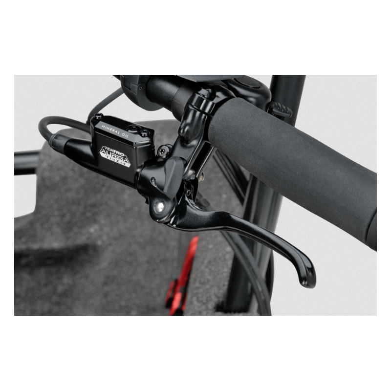 Batavus Fier 3 elektrische bakfiets - Nexus