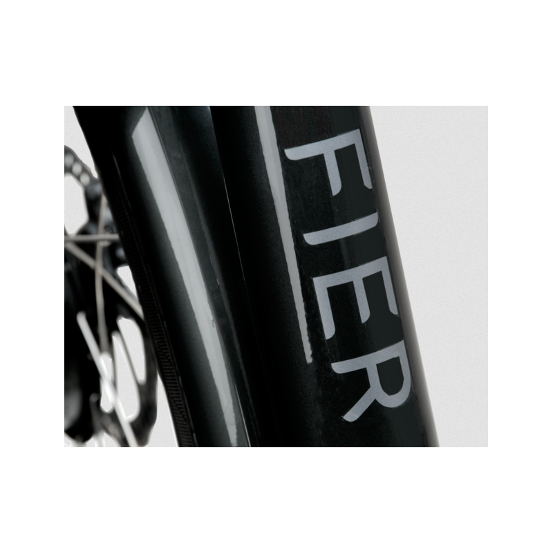Batavus Fier 3 elektrische bakfiets - Nexus