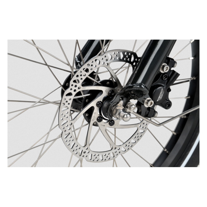 Vélo cargo électrique Batavus Fier 3  - Nexus