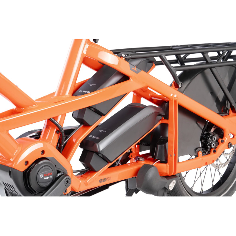 Tern GSD P00