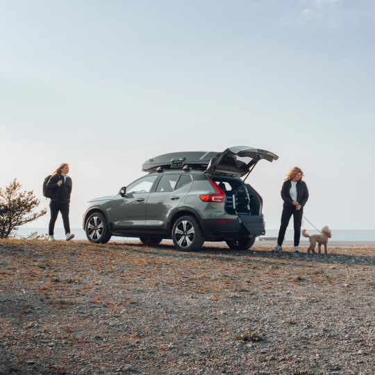 Thule Allax Hundetransportbox / Auto-Hundebox