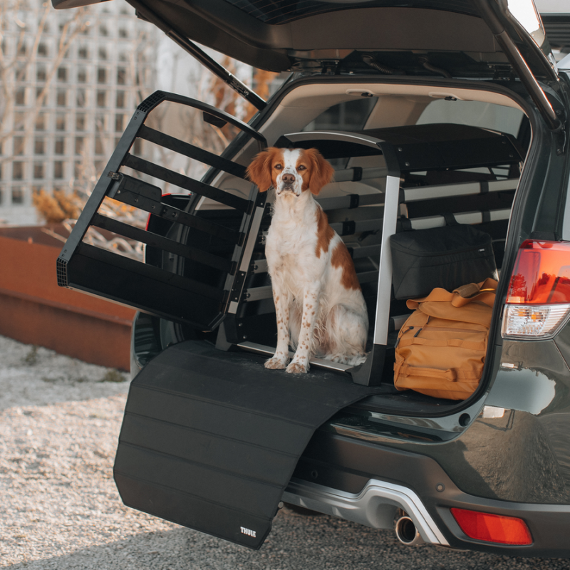 Thule Allax Hundetransportbox / Auto-Hundebox