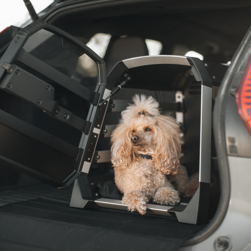 Thule Allax Compact Hundetransportbox / Auto-Hundebox