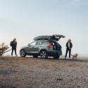 Thule Allax Compact Hundetransportbox / Auto-Hundebox