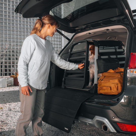 Thule Allax Compact Hundetransportbox / Auto-Hundebox