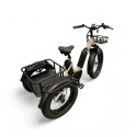 Vogue Diablo Big Foot – Elektrische Fatbike Driewieler voor Volwassenen